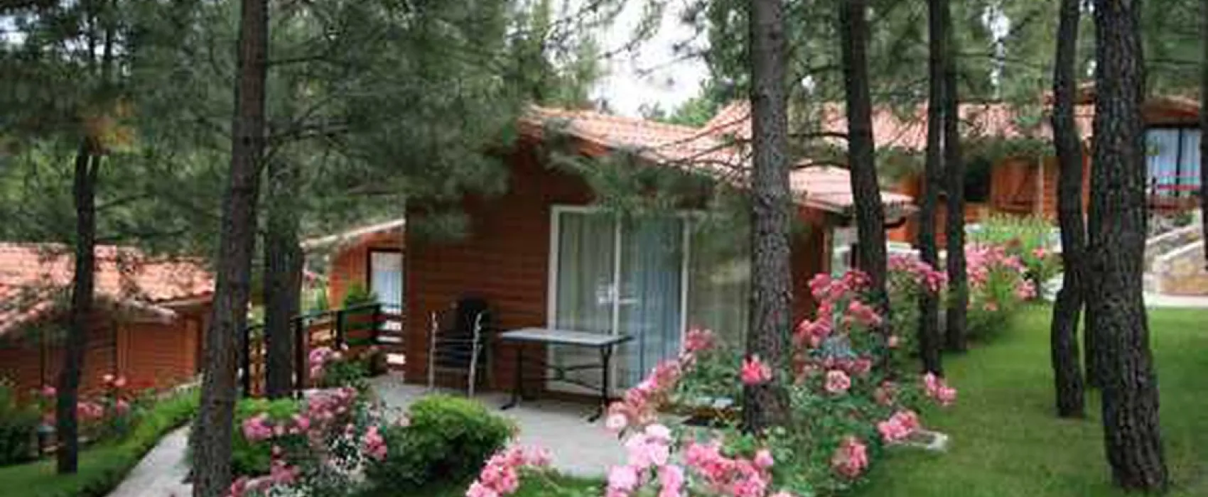 Camping el Canto La Gallina