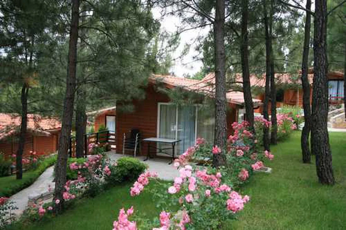 camping-el-canto-la-gallina-valdemaqueda-i7ins