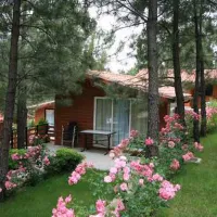 camping-el-canto-la-gallina-valdemaqueda-i7ins