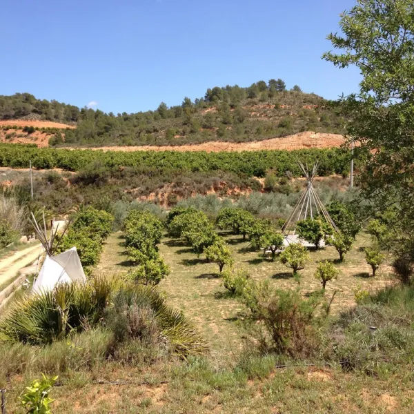 Campo Pedralba