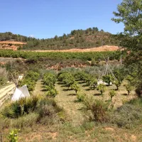 Campo Pedralba