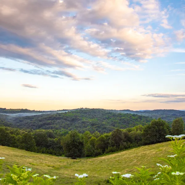 heart-of-nature-srakovcic-ribnik-volgt