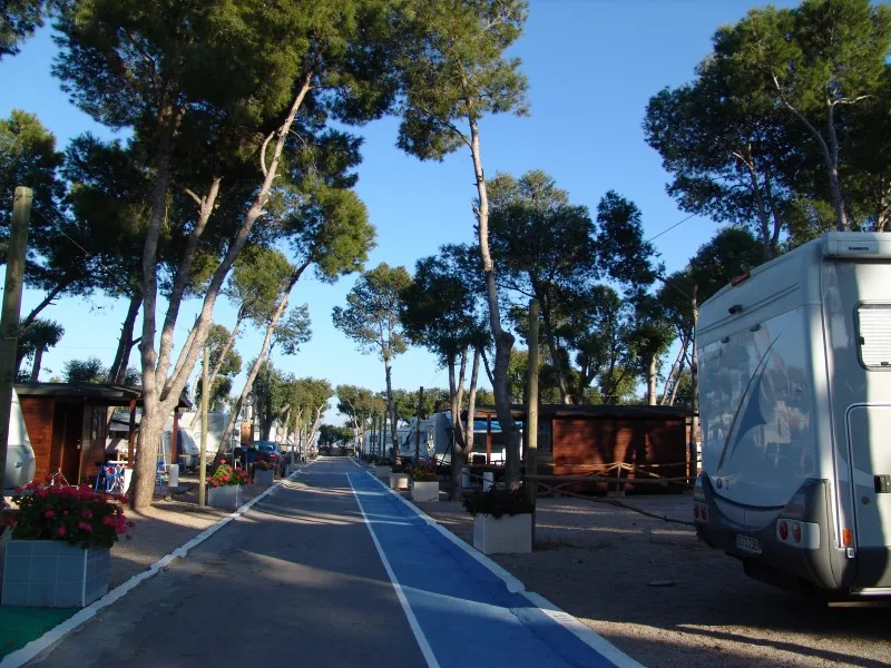 camping-didota-sl-oropesa-del-mar-42aqz