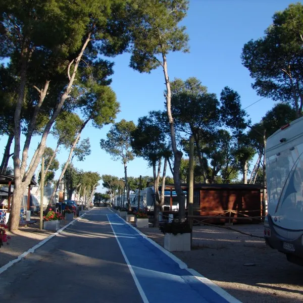 camping-didota-sl-oropesa-del-mar-42aqz