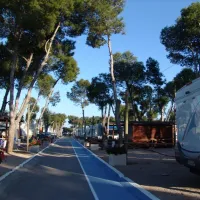 camping-didota-sl-oropesa-del-mar-42aqz