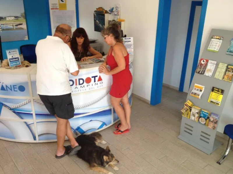 camping-didota-sl-oropesa-del-mar-zbknb