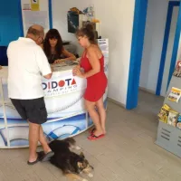 camping-didota-sl-oropesa-del-mar-zbknb