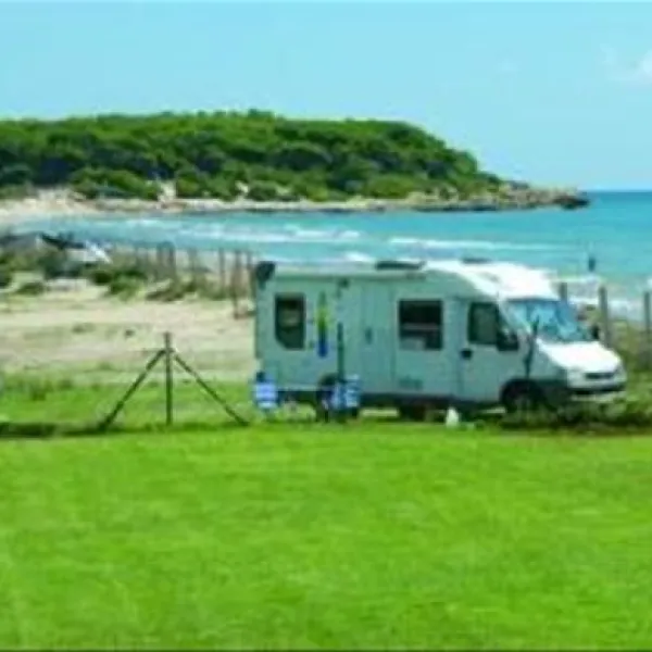 Camping las Palmeras