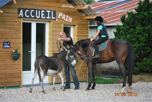 camping-les-pommiers-saintsylvestre-de-cormeilles-jeczb