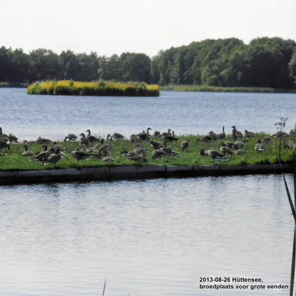 campingpark-httensee-winsen-iecvm