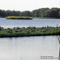 campingpark-httensee-winsen-iecvm