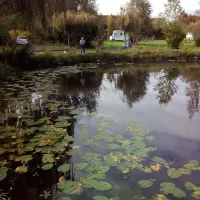 Camping Domaine De La Sabliere