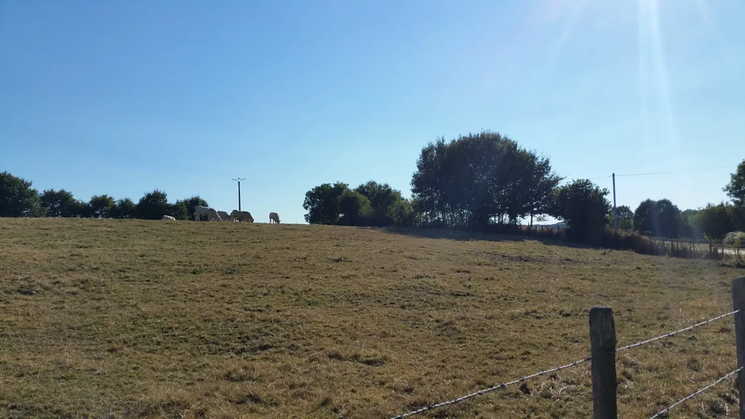 camping-municipal-authon-du-perche-fytq5