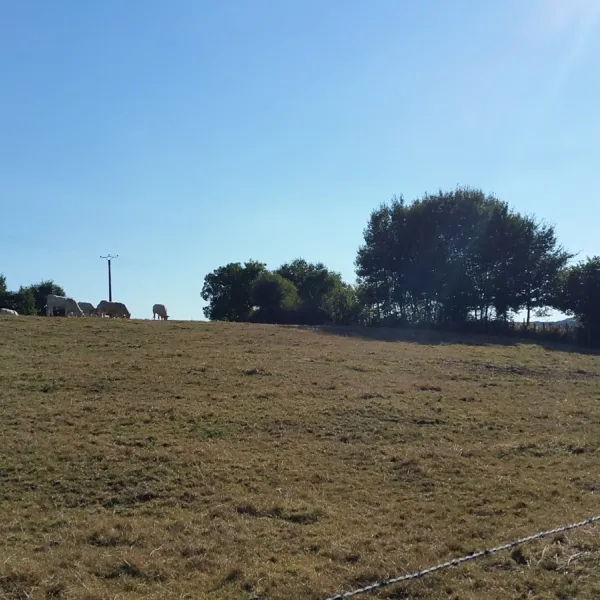 camping-municipal-authon-du-perche-fytq5