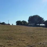 Camping Municipal