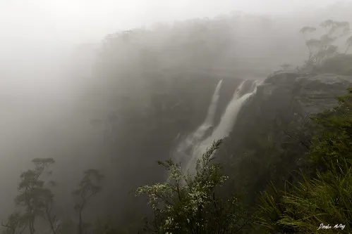 carrington-falls-campground-robertson-soidn