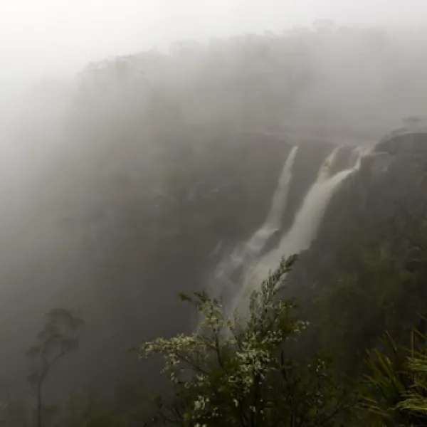 carrington-falls-campground-robertson-soidn