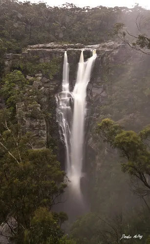 carrington-falls-campground-robertson-tkwq5
