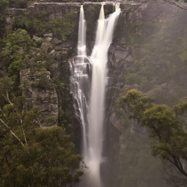 carrington-falls-campground-robertson-tkwq5