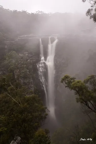 carrington-falls-campground-robertson-xild5