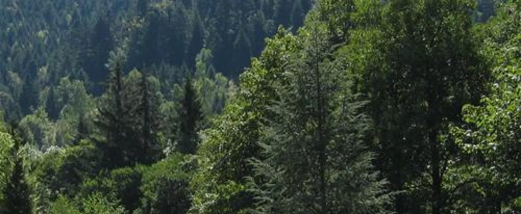 Camping Domaine du Haut des Bluches  
