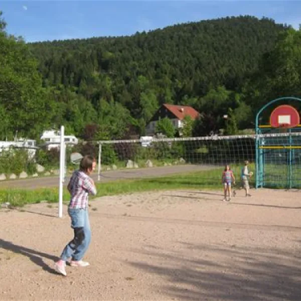 camping-domaine-du-haut-des-bluches-la-bresse-cmsys