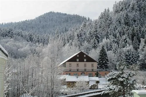 camping-domaine-du-haut-des-bluches-la-bresse-fgwfk