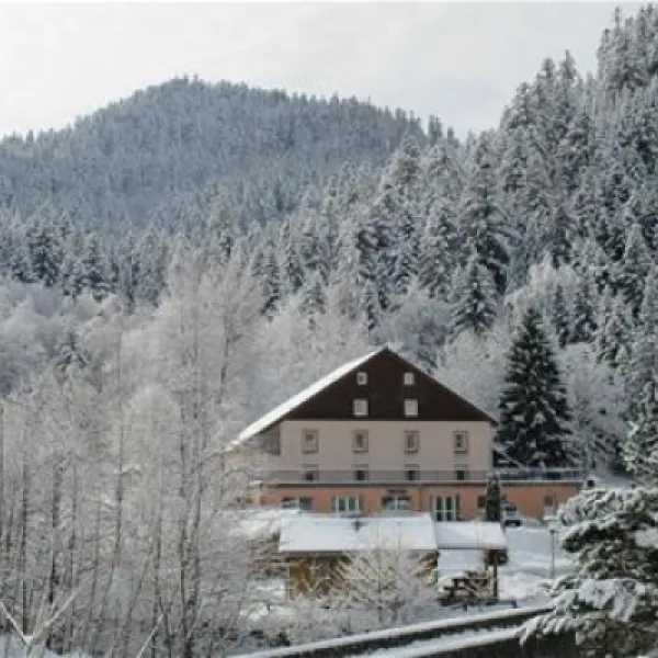 camping-domaine-du-haut-des-bluches-la-bresse-fgwfk