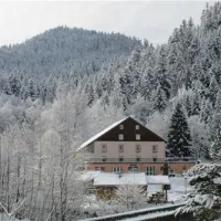 camping-domaine-du-haut-des-bluches-la-bresse-fgwfk