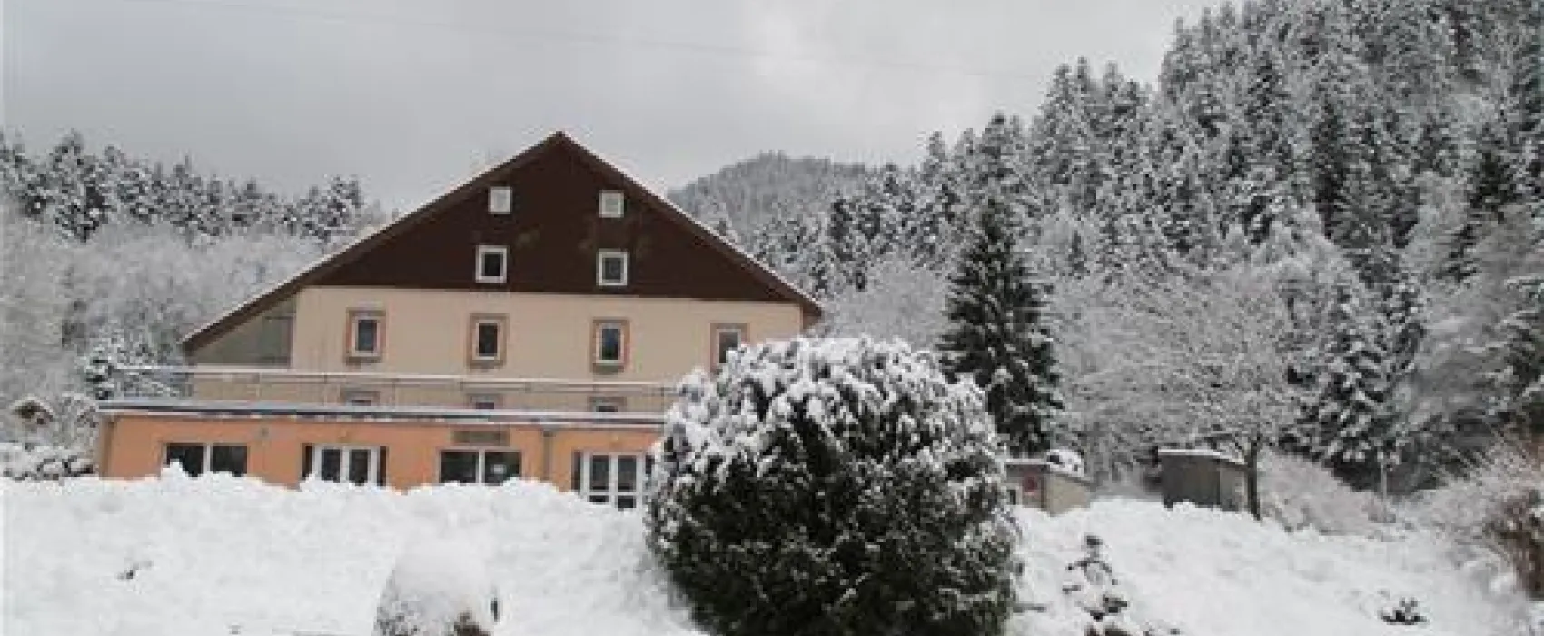 Camping Domaine du Haut des Bluches  