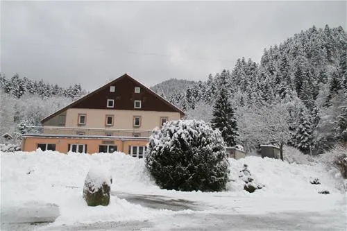 camping-domaine-du-haut-des-bluches-la-bresse-l3kmd
