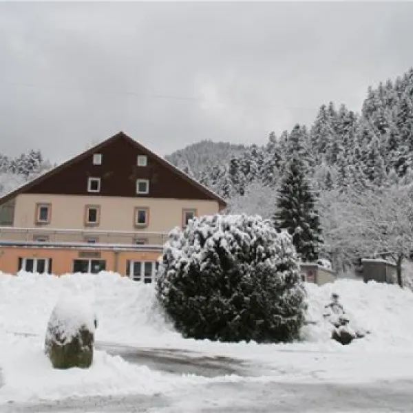 camping-domaine-du-haut-des-bluches-la-bresse-l3kmd