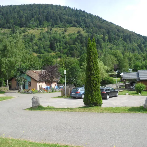camping-domaine-du-haut-des-bluches-la-bresse-l80jr