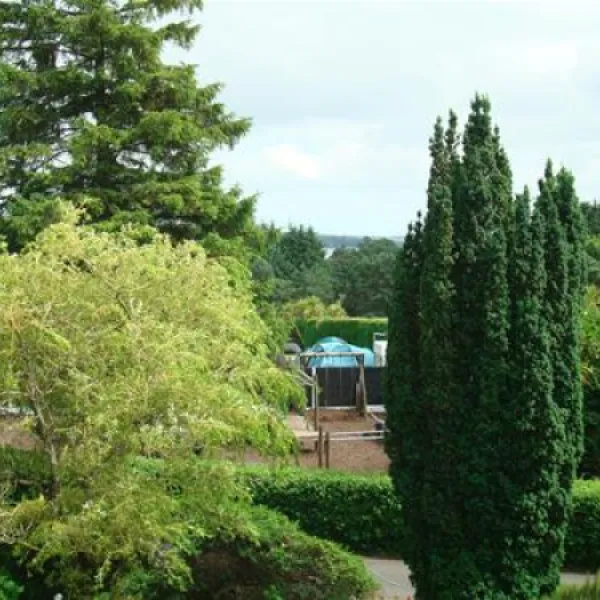 roundwood-c-c-park-roundwood-o1y8a