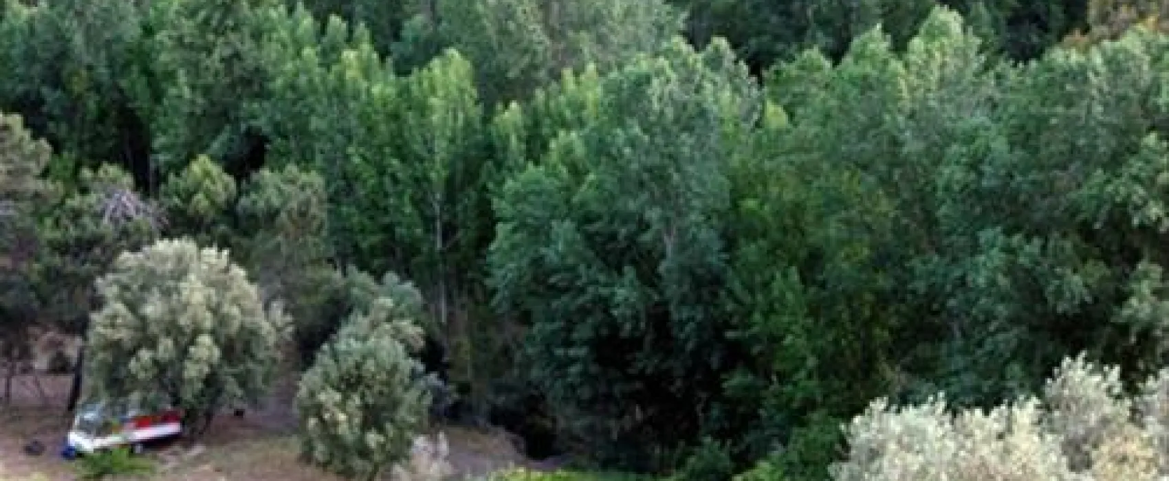 Camping San Juan