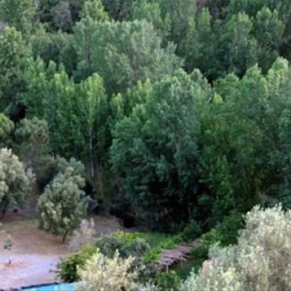 camping-san-juan-jubrique-8xlbs