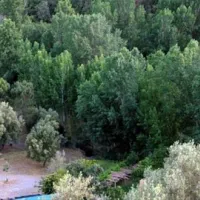 camping-san-juan-jubrique-8xlbs