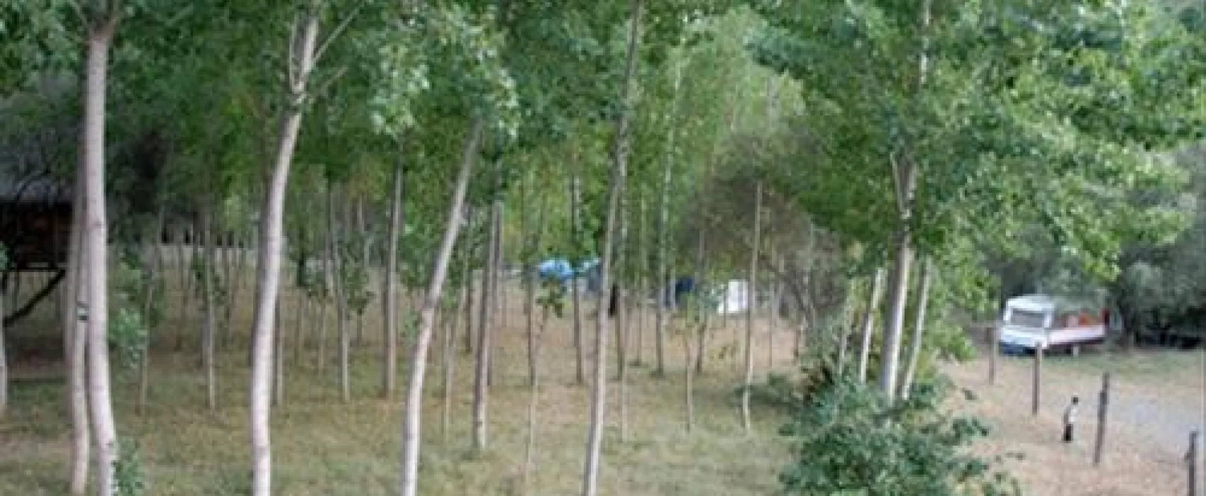 Camping San Juan