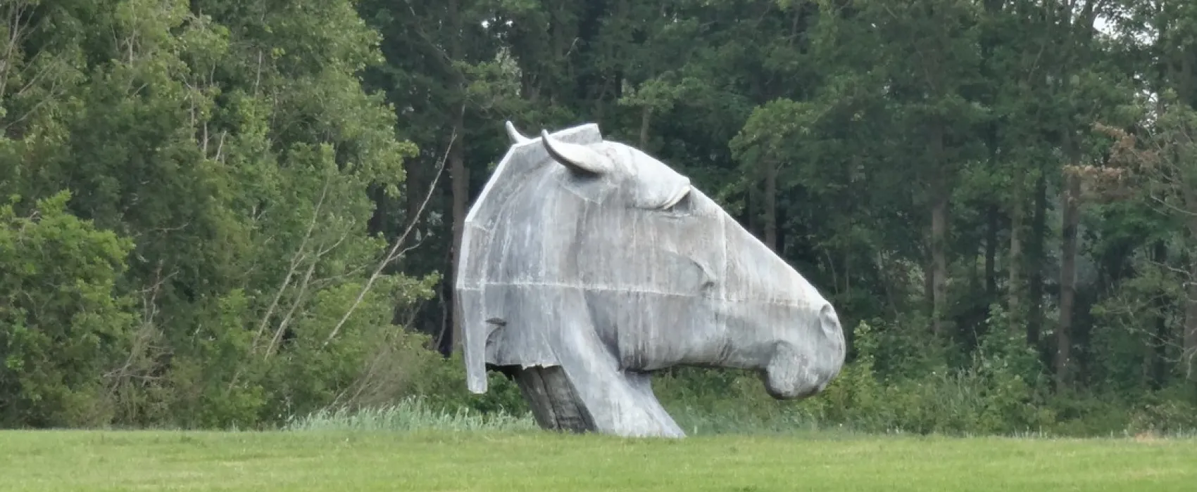 Camping Hoekvliet