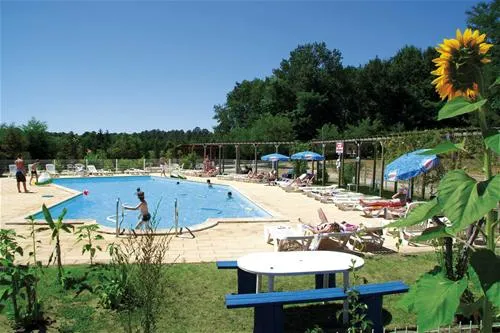 camping-les-pins-du-soleil-saint-paul-ls-dax-fwoco
