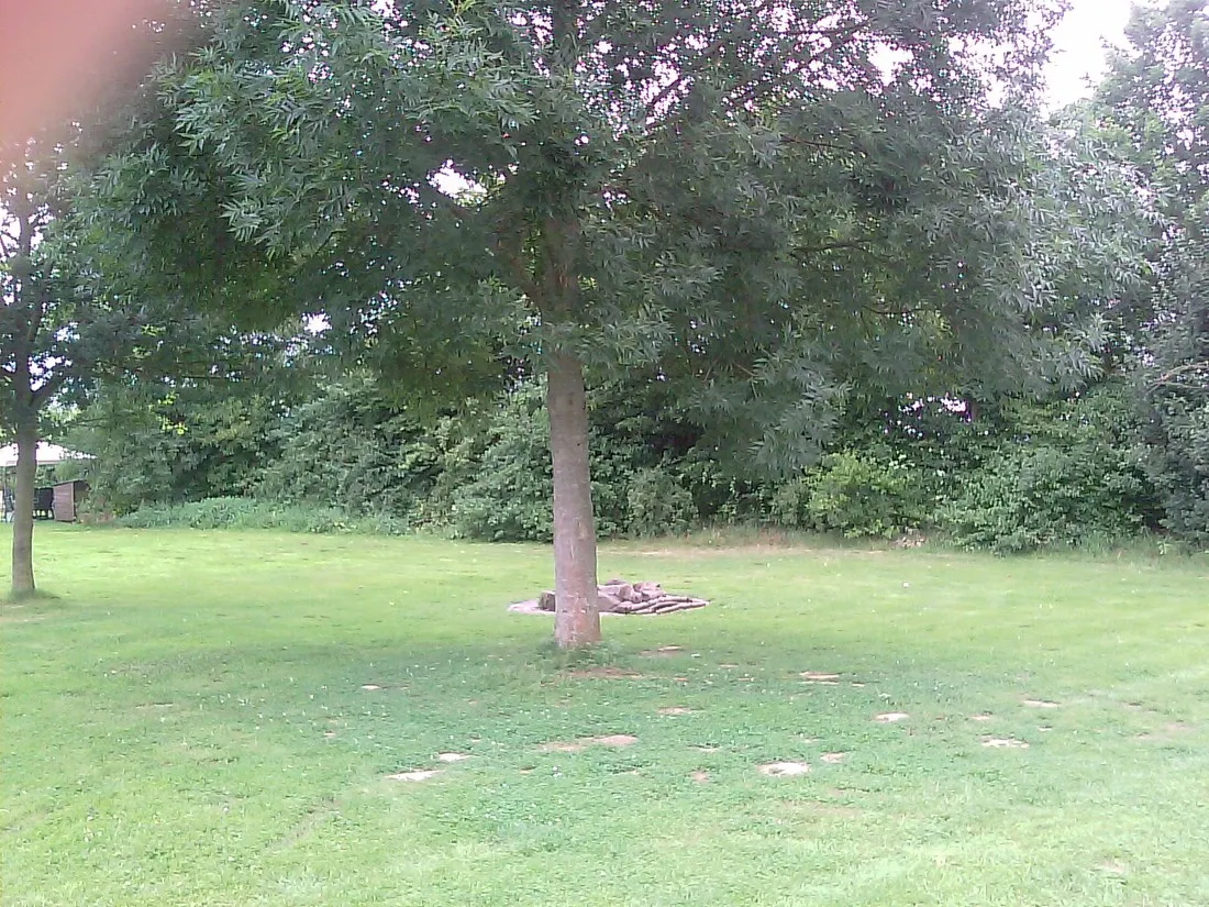 campingplatz-frielendorf-frielendorf-oefok