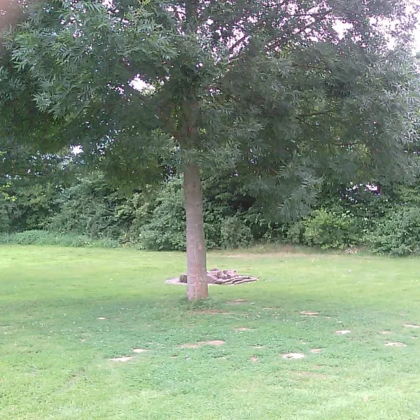 campingplatz-frielendorf-frielendorf-oefok