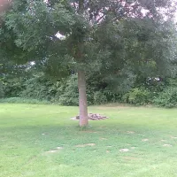 campingplatz-frielendorf-frielendorf-oefok