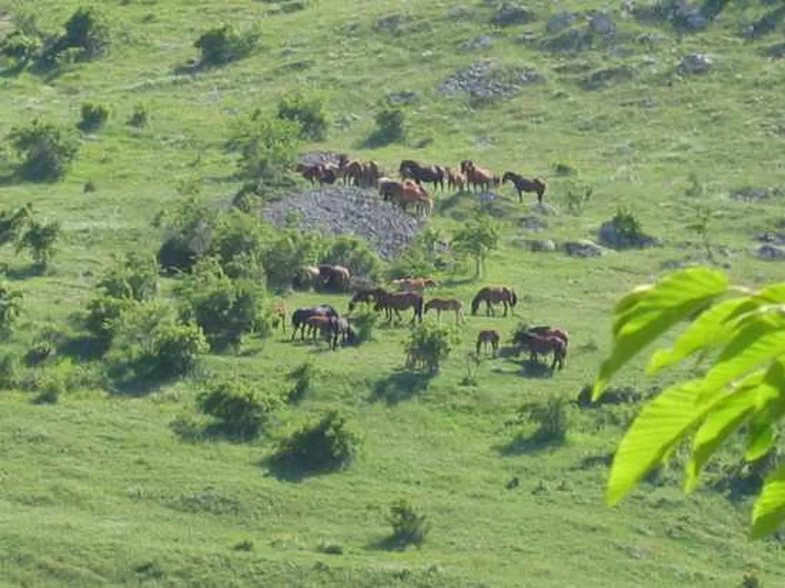 campeggio-il-vecchio-mulino-opi-cnbyr