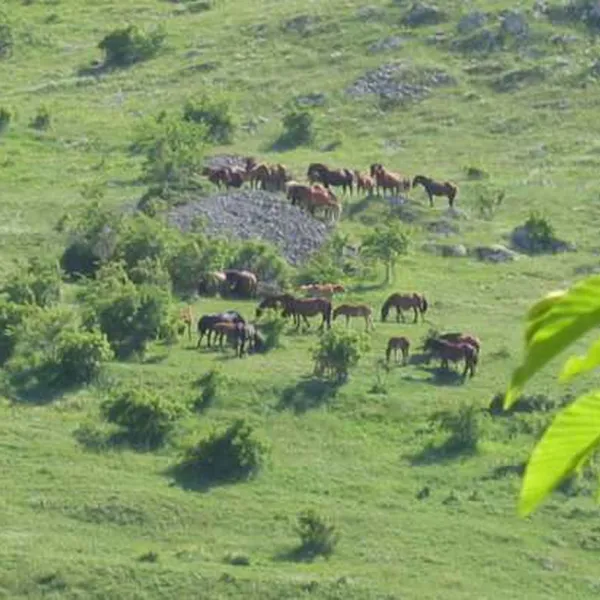 campeggio-il-vecchio-mulino-opi-cnbyr