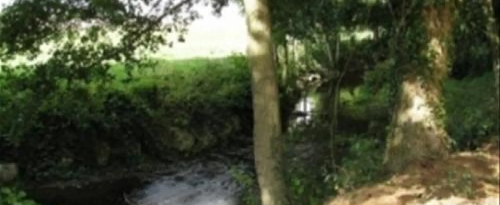 Camping du Perche