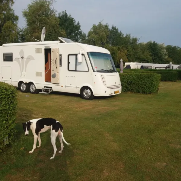 minicamping-weizicht-kats-sy9gs