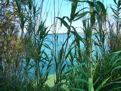 camping-park-soline-biograd-na-moru-197hz