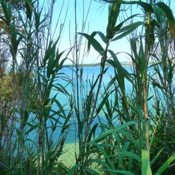 camping-park-soline-biograd-na-moru-197hz