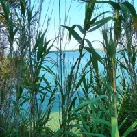 camping-park-soline-biograd-na-moru-197hz
